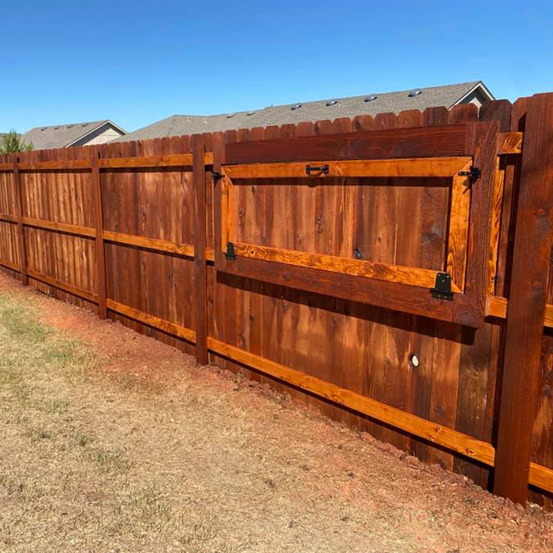 staining
